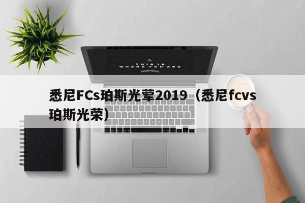 悉尼FCs珀斯光荤2019（悉尼fcvs珀斯光荣）