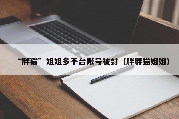 “胖猫”姐姐多平台账号被封（胖胖猫姐姐）