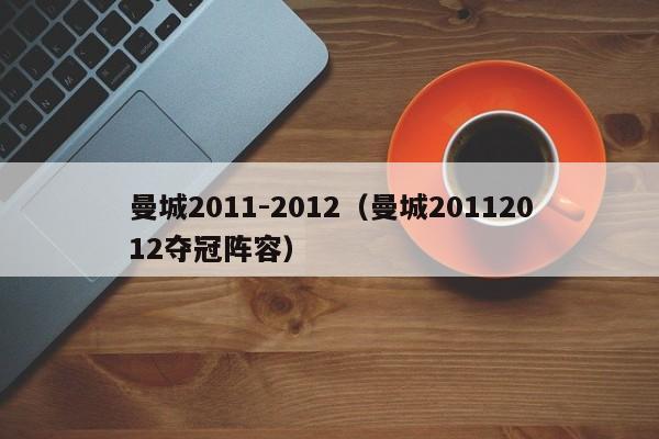 曼城2011-2012（曼城20112012夺冠阵容）