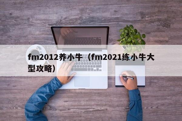 fm2012养小牛（fm2021练小牛大型攻略）