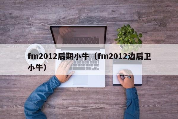 fm2012后期小牛（fm2012边后卫小牛）