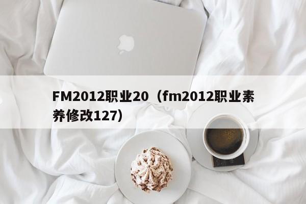 FM2012职业20（fm2012职业素养修改127）