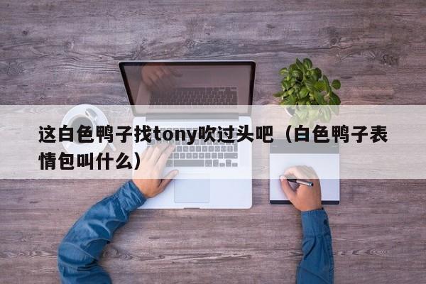 这白色鸭子找tony吹过头吧（白色鸭子表情包叫什么）