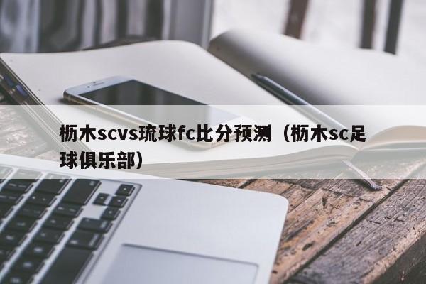 枥木scvs琉球fc比分预测（枥木sc足球俱乐部）