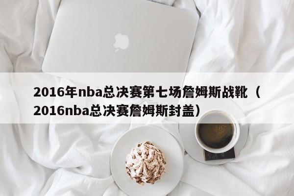 2016年nba总决赛第七场詹姆斯战靴（2016nba总决赛詹姆斯封盖）