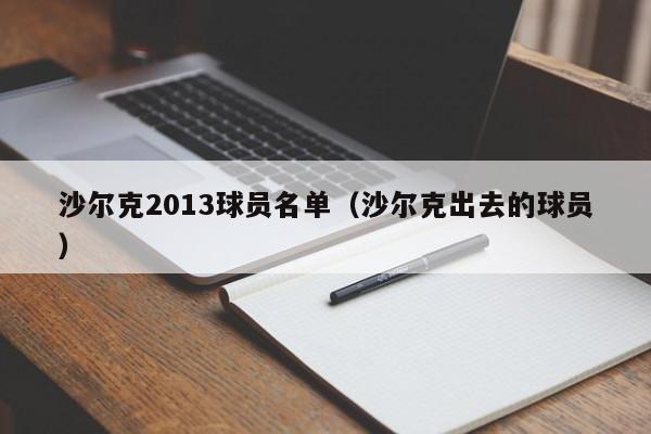 沙尔克2013球员名单（沙尔克出去的球员）