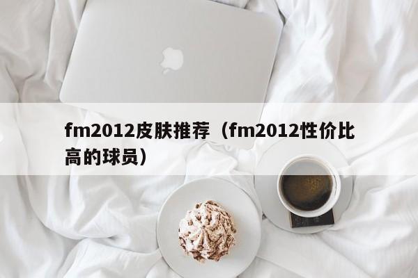 fm2012皮肤推荐（fm2012性价比高的球员）