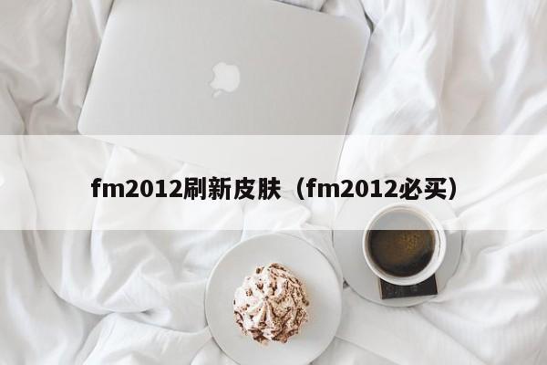 fm2012刷新皮肤（fm2012必买）