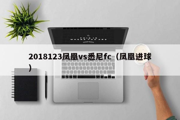 2018123凤凰vs悉尼fc（凤凰进球）