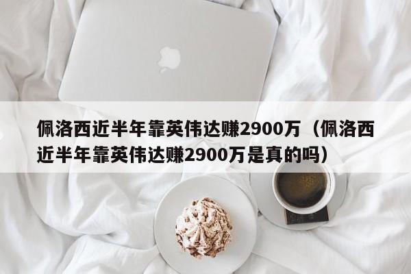 佩洛西近半年靠英伟达赚2900万（佩洛西近半年靠英伟达赚2900万是真的吗）