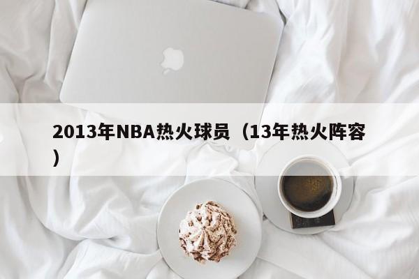 2013年NBA热火球员（13年热火阵容）