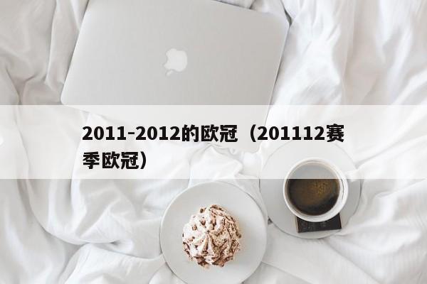 2011-2012的欧冠（201112赛季欧冠）