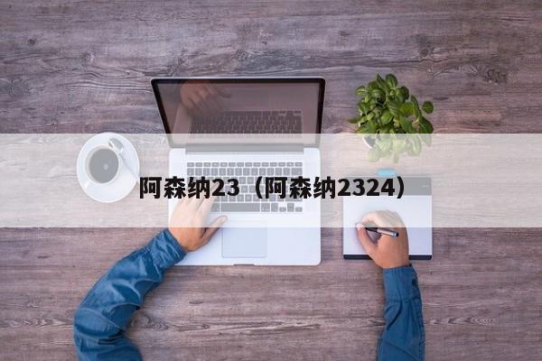 阿森纳23（阿森纳2324）