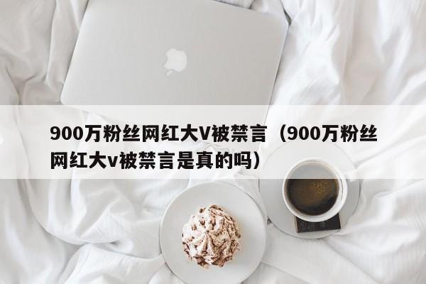 900万粉丝网红大V被禁言（900万粉丝网红大v被禁言是真的吗）