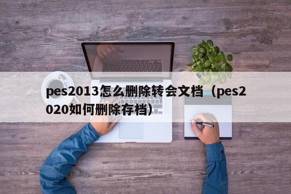 pes2013怎么删除转会文档（pes2020如何删除存档）