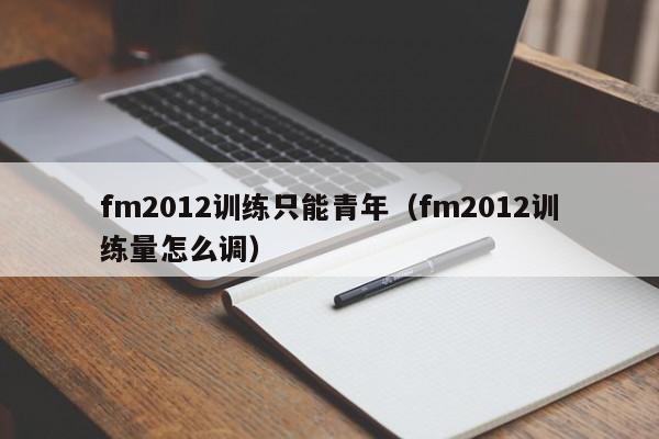 fm2012训练只能青年（fm2012训练量怎么调）