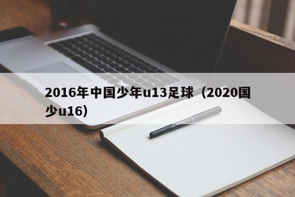 2016年中国少年u13足球（2020国少u16）