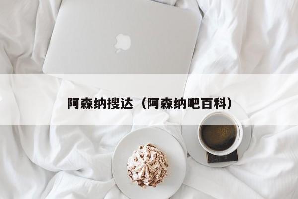 阿森纳搜达（阿森纳吧百科）