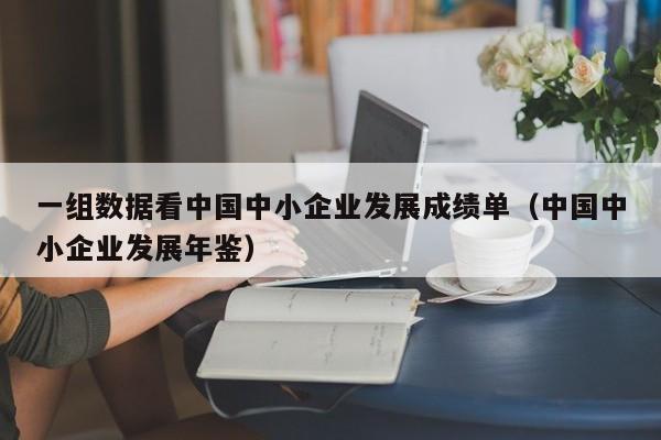 一组数据看中国中小企业发展成绩单（中国中小企业发展年鉴）