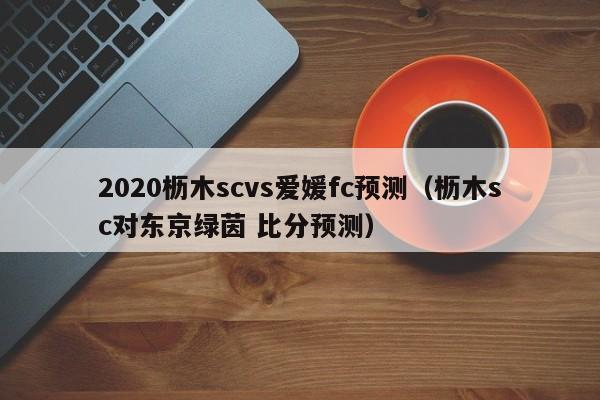 2020枥木scvs爱媛fc预测（枥木sc对东京绿茵 比分预测）