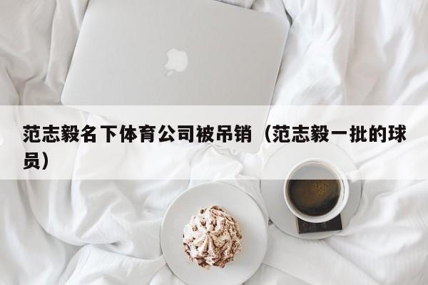 范志毅名下体育公司被吊销（范志毅一批的球员）