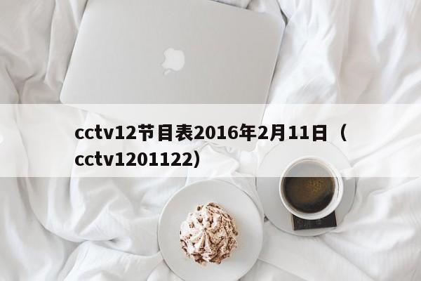 cctv12节目表2016年2月11日（cctv1201122）