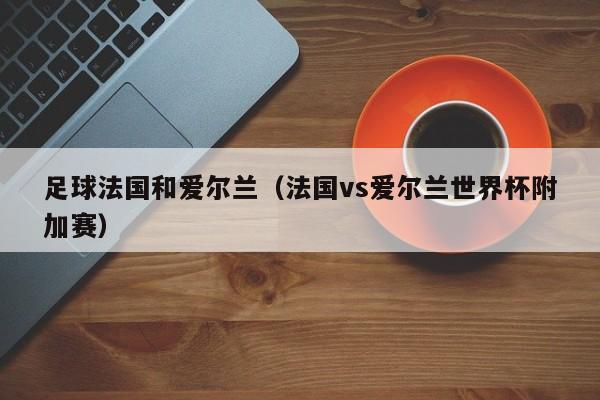 足球法国和爱尔兰（法国vs爱尔兰世界杯附加赛）