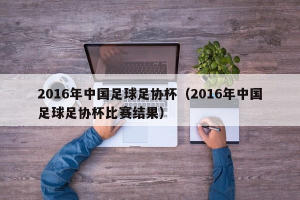 2016年中国足球足协杯（2016年中国足球足协杯比赛结果）