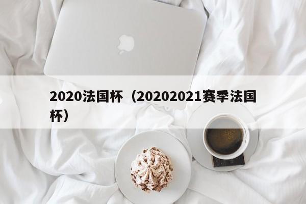 2020法国杯（20202021赛季法国杯）