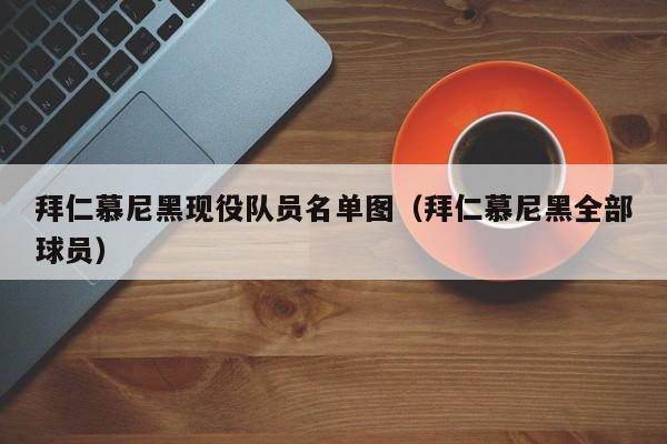 拜仁慕尼黑现役队员名单图（拜仁慕尼黑全部球员）