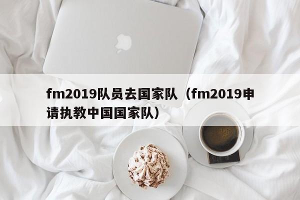 fm2019队员去国家队（fm2019申请执教中国国家队）