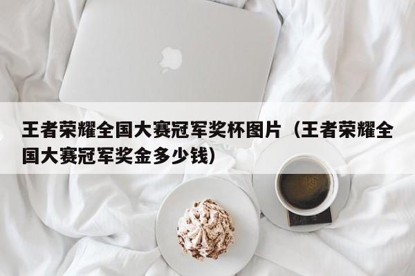 王者荣耀全国大赛冠军奖杯图片（王者荣耀全国大赛冠军奖金多少钱）